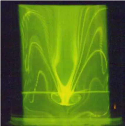 Figure 1.2: Unsteady vortex breakdown in a closed cylindrical container by S. Harris.