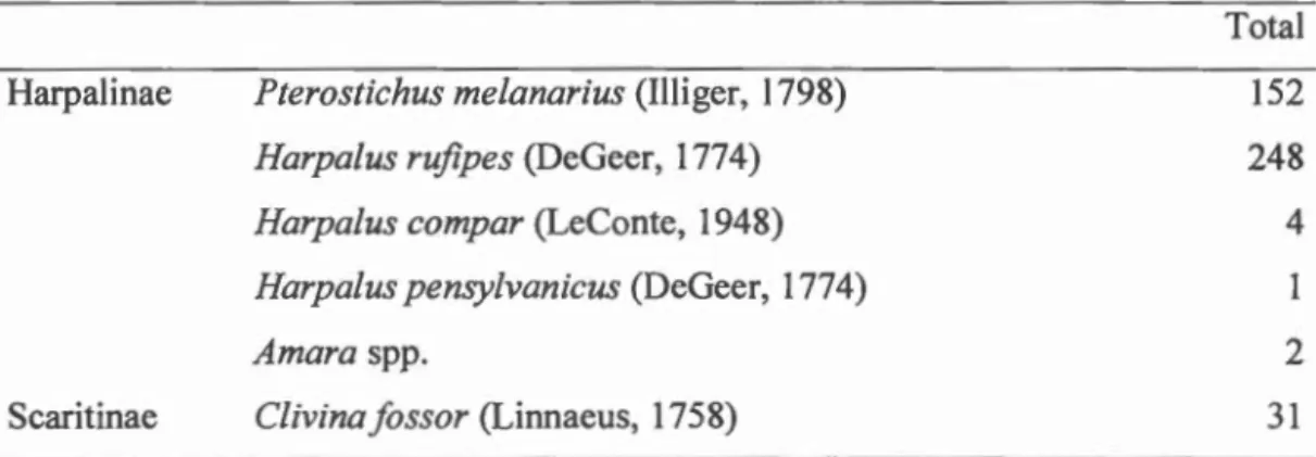 Table  1.2  Carabidae  found  in  pitfall  traps  (Harpalinae)  and  soil  samples  (Scaritinae)  during  sampling  in  2015