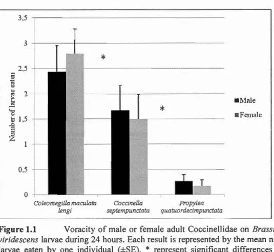 Figure 1.1  Voracity  of  male  or female  adult  Coccinellidae  on  Brassicogethes 