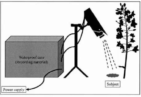Figure 2.1  Field  setup  consisted  of a  waterproof case  for  weather  protection ,  connected to  the  camera and wired  directly to  an  ener g y source