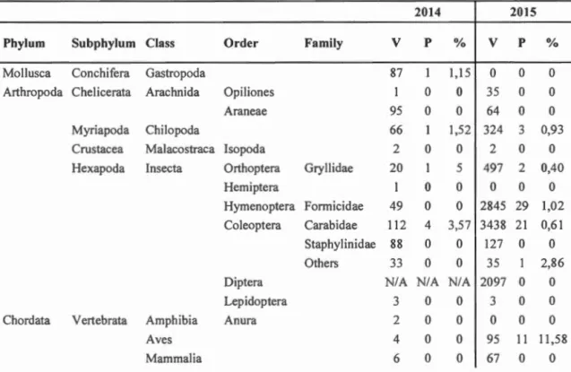 Table 2.1  Number of visits  (V) ,  predation  (P) and  predation  rate  per  visit (%)  for 