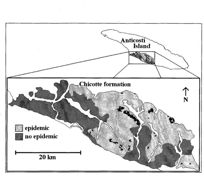 Figure 5. Map of Anticosti Island outlining the Chicotte geologic formation. Black  areas in the magnified map at the bottom refer to the 24 polygons  containing study plots