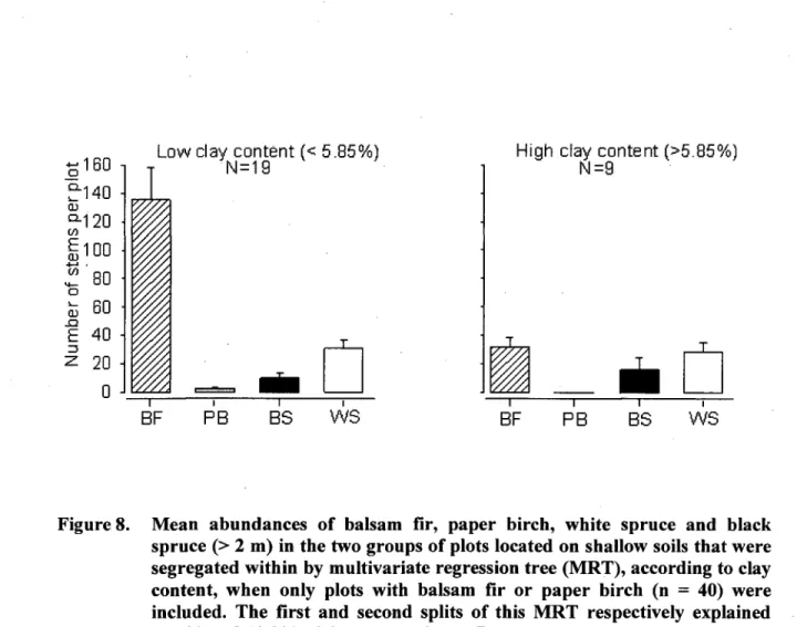 Figure 8. Mean abundances of balsam fir, paper birch, white spruce and black  spruce (> 2 m) in the two groups of plots located on shallow soils that were  segregated within by multivariate regression tree (MRT), according to clay  content, when only pl