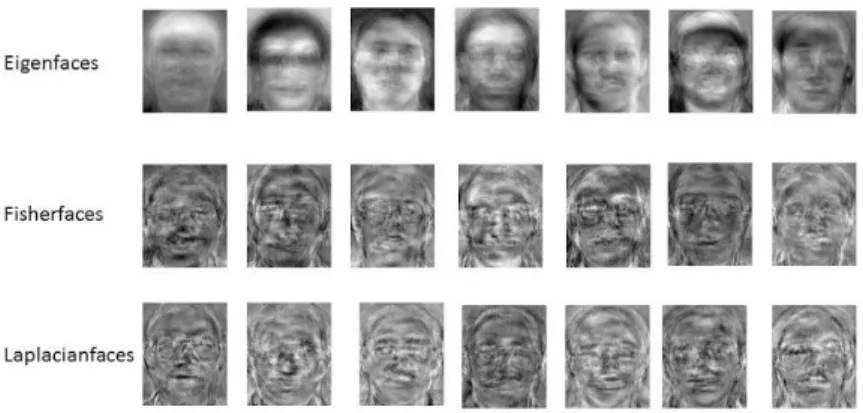 Figure 1-4: Various bases can be used to represent face images in order to approximate faces in a sparse representation