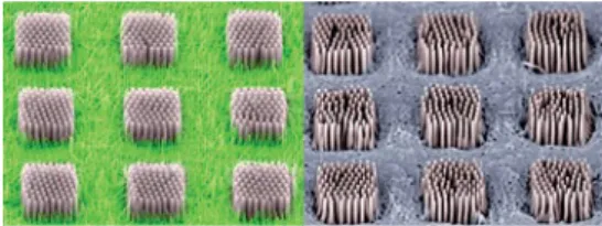 Figure 1.2: An example of a nanograss structure