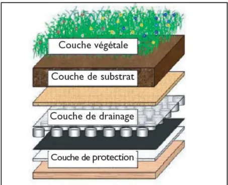 Figure 3.2 : Les différentes couches d’un toit vert (tirée de SCHL, 2006, page 9) 