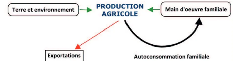 Figure 2.1 Agriculture de subsistance (inspirée de : Bourdariat, 2011) 