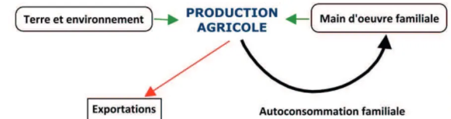 Figure 2.1 Agriculture de subsistance (inspirée de : Bourdariat, 2011) 