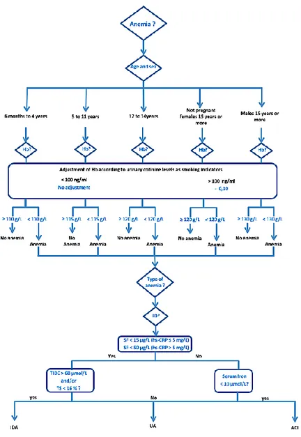 Figure 4: Algorithm for classification of anemia 