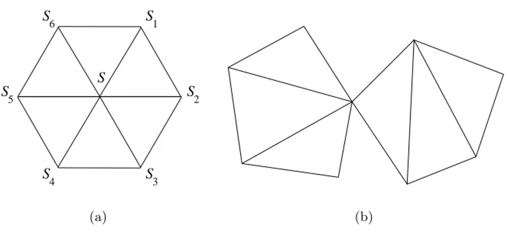 Fig. 1.2 – {S 1 , . . . , S 6 } voisinage de S et maillage dont la fronti` ere n’est pas un maillage