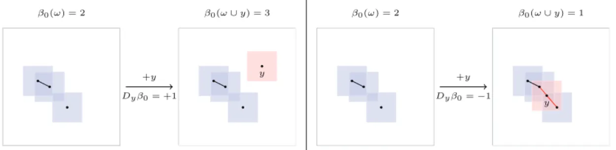 Figure 1.4: Gradient operator D y in a Poisson process ω.