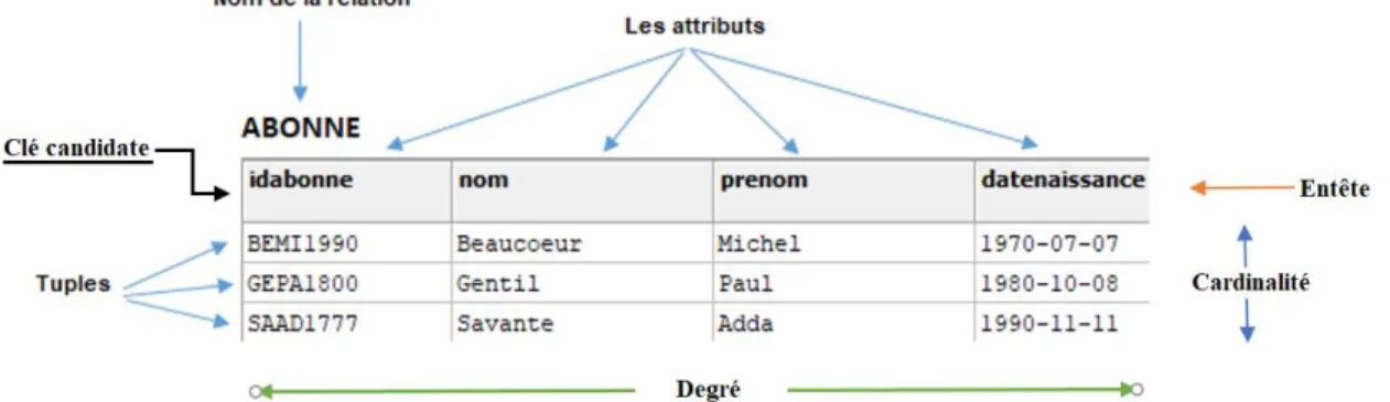 Figure 1 : Concept de modèle relationnel 