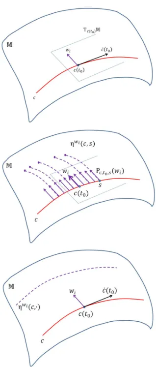 Figure 3  Model description on a schematic manifold. Top: a non-zero vector w i