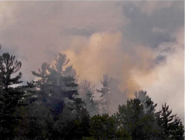 Figure 3.12  : Feu  d e  forêt près de  la caverne Laflèche ,  le  4 juin  2016 