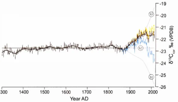 Figure 1.111  Pooled  8 13 C-chronology  : raw data  (blue  tine) ,  corrected for  Suess 