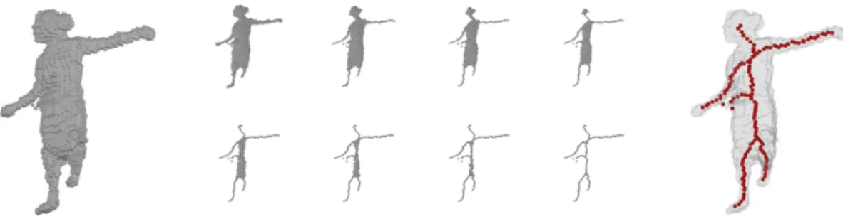 Figure 3.2: Example of skeletonization process. Left: a visual hull. Middle: different steps of skeletonization process