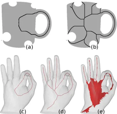 Figure 4.6: Examples of the different kinds of skeleton. Top, 2D skeletons: (a) ultimate skeleton, (b) curvilinear skeleton