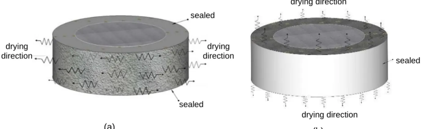 Fig.  3.4  Free  ring  specimen  with  DEMEC:  (a)  Sealed  on  top  (and  bottom)  and  (b)  sealed  on  the  outer  circumferential surface 