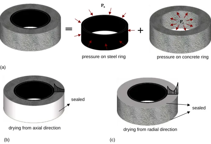 Fig. 4.3 Schematical illustration of (a) contact pressure acting in the steel ring and the concrete ring, (b)  stress profile when drying from axial direction, and (c) stress profile when drying from radial direction 