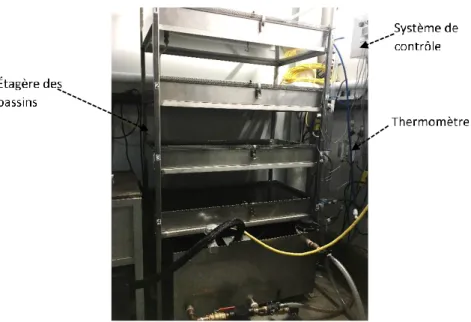 Figure 3- 4 : Système de bassins de trempage. 