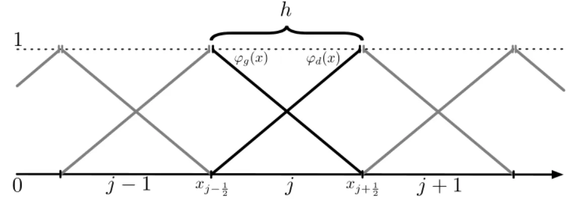 Figure 2.9 – Fonctions de base Lagrangiennes pour un schéma DG P 1 en 1-D Schéma décentré amont