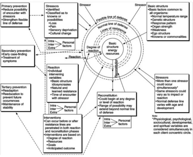 Figure 3.1 Modèle conceptuel de Betty Neuman (1995) 