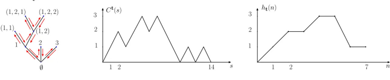 Figure 1.2 – Un arbre t, son processus de contour C t et sa fonction de hauteur h t