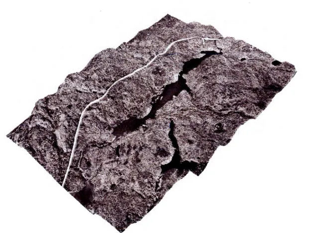 Figure  8  Illustration  of  a  digital  surface  madel  developed  from  aerial  photography  (1987)  and  the  altimetric  curves  of Lake  Simoncouche  and  the  associated  catchment  basin using ArcGIS ®  (M 