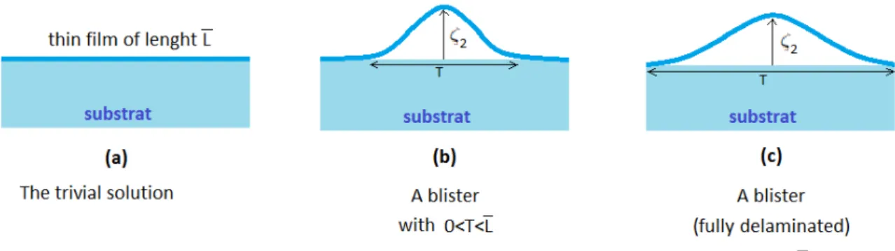 Figure 2.1 – Different types of solutions of problem (2.3)