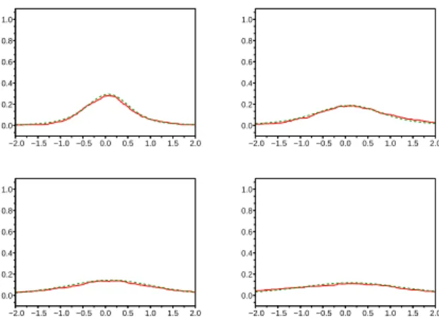 Fig. 7.1. Approximation of the onservation law with index α = 1.5.