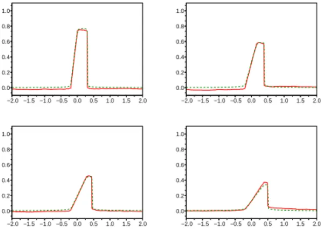 Fig. 7.3. Approximation of the onservation law with index α = 0.1.