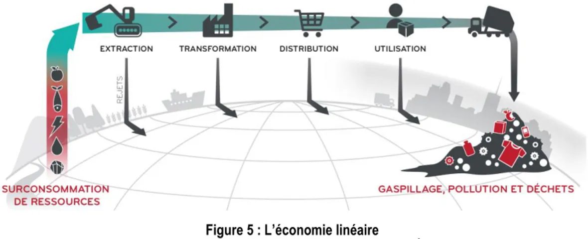 Figure 5 : L’économie linéaire  