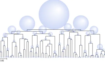 Figure 1.2.1: Descending genealogy from an individual with size 1 until time T “ 50 of a size-structured population