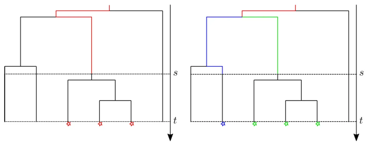 Figure 1.3.2: Trees and forks.