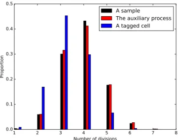 Figure 1.4.1: Distribution of the number of divisions in the lineage of a uniformly sampled individual (black bars), of the auxiliary process (red bars) and of a tagged cell (blue bars)