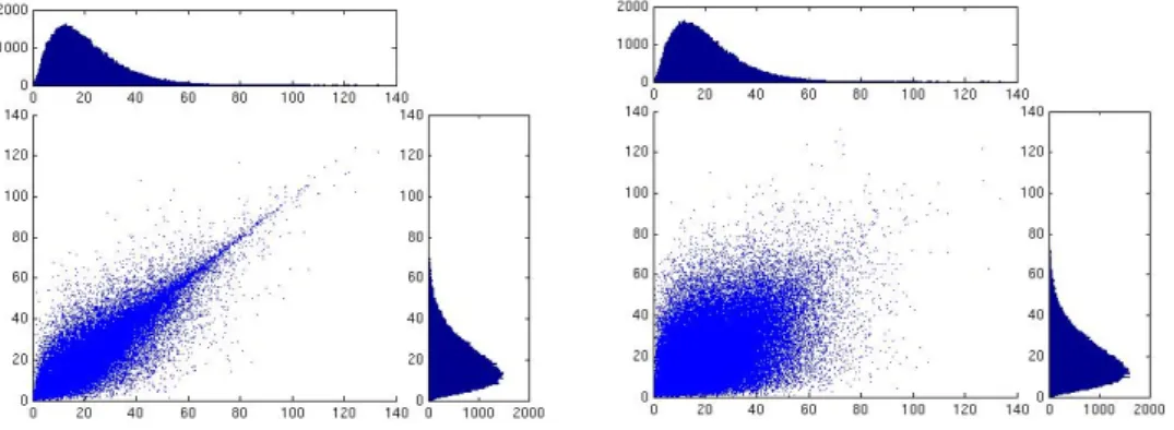 Figure 5.4 represents 100000 independent simulations of (Γ, K(Γ)) with their respective marginal histograms