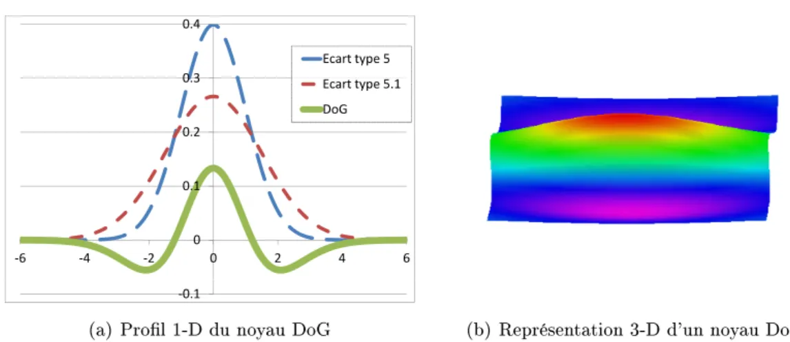 Figure 1.4  Illustration du noyau de convolution utilisé pour la détection des structures nes et linéaires.