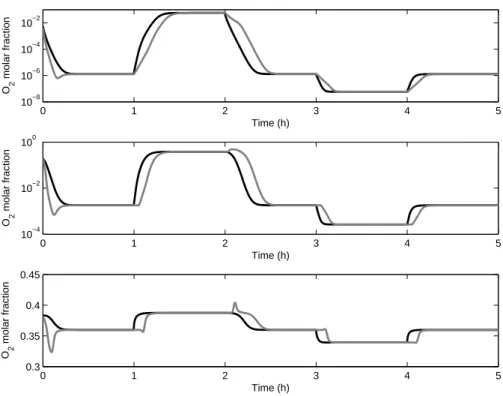 Figure 3.4: O 2 lumped molar fractions at various locations in the column (Top: at top,