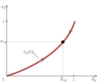 Figure 2.7: The slow limit system converges on the manifold of thermodynamic equilibrium (defined for p) towards the dynamic equilibrium (impacted by p + 1, p − 1)
