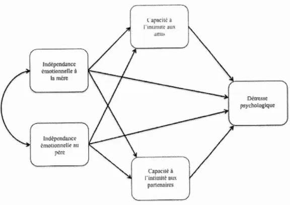 Figure  1 .  Schéma représentant le modèle initial: La capacité d'intimité avec les amis  et avec les partenaires comme variables médiatrices entre l ' indépendance 