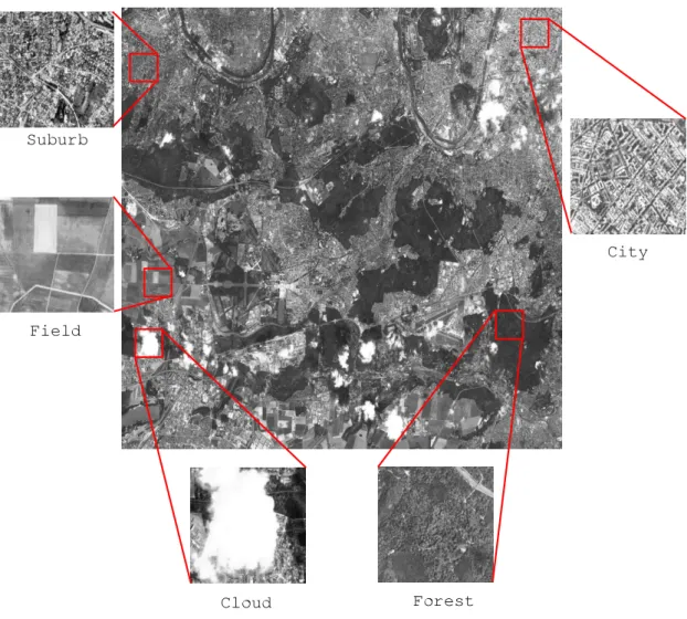 Figure 1.1: An example of a SPOT5 image of Paris with some instances of full resolution areas.