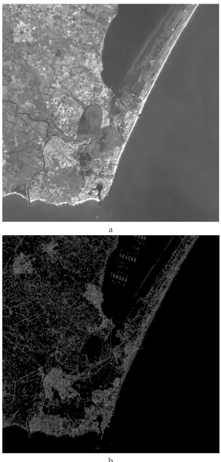 Figure 3.4: Satellite image SPOT5 of B´eziers c CNES: a - original image 3000×3000 pixels,
