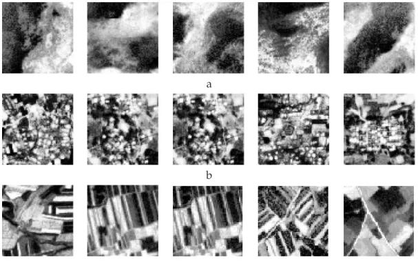 Figure 4.9: Samples of classes issued from SPOT5 image in Figure 4.10a: a - ”Mountain”,