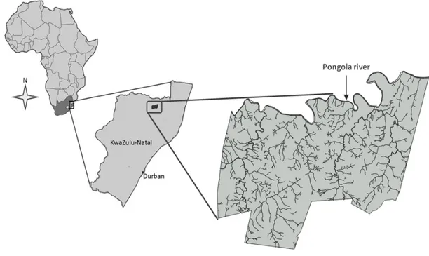Figure 1. Geographic location of Ithala Game Reserve, in KwaZulu-Natal, South Africa and 