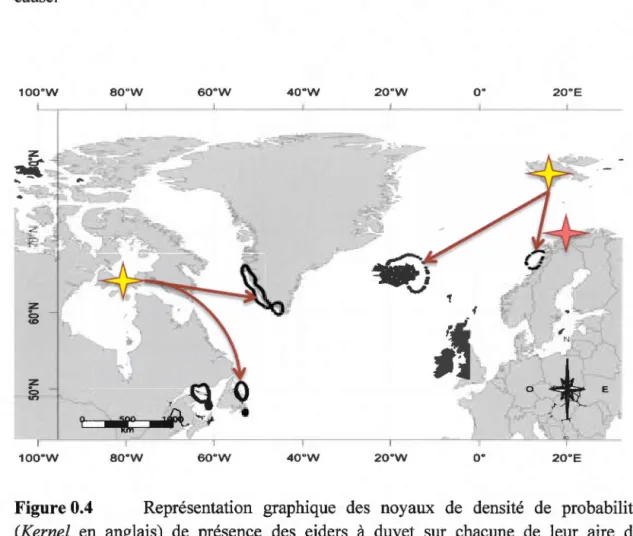 Figure 0.4  Représentation  graphique  des  noyaux  de  densité  de  probabilité 