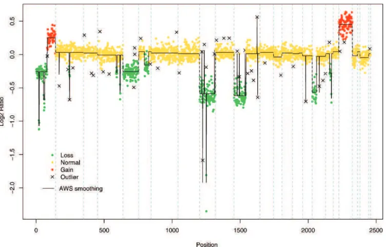 Fig. 1. Genomic profile of bladder tumor 824 (T1G2) according to our methodology: the breakpoint detection step makes it possible to calculate the piecewise constant function, in black, and to detect outliers; during the region assignment step, a two-step 