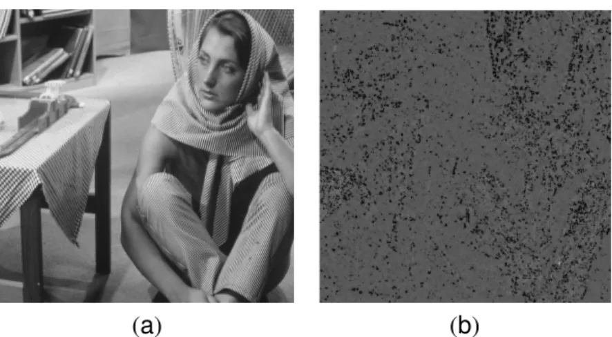 Fig. 5.1: (a) Original image (b) The bandwidth value associated to it