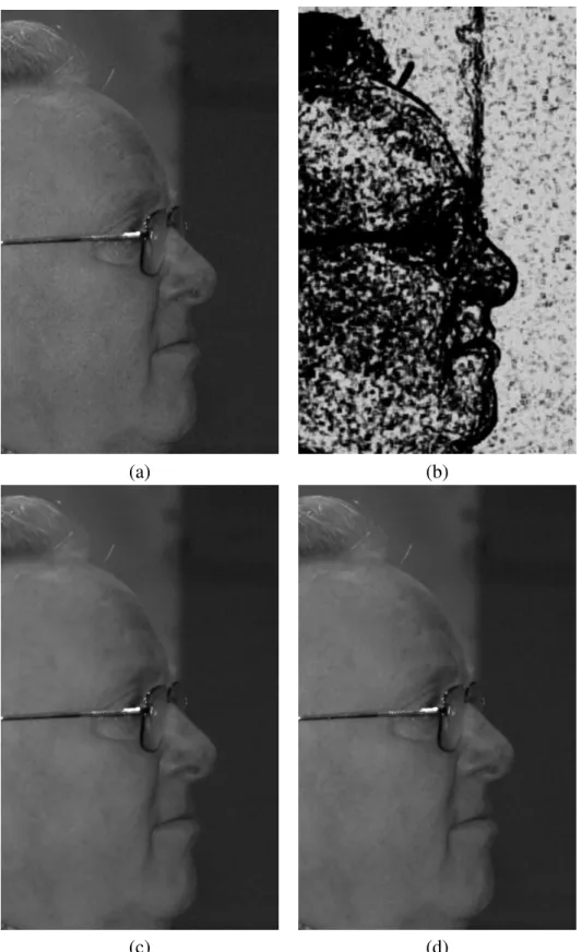 Fig. 3.8: Results of our proposed denoising method on real digital camera Noise, (a) original image (b) variable bandwidth function (low intensity (h y =2), high intensity (h y =4)) (c)MPM f ix denoising, (d) MPM var denoising.