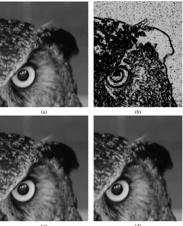 Fig. 3.9: Results of our proposed denoising method on real digital camera Noise, (a) original image (b) variable bandwidth function (low intensity (h y =2), high intensity (h y =4)), (c)MPM f ix denoising, (d) MPM var denoising.