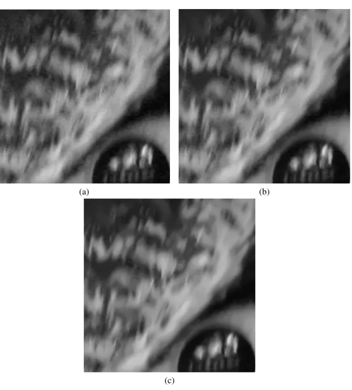 Fig. 3.10: Results of our proposed denoising method on real digital camera Noise, (a) original image (b)MPM f ix denoising, (c) MPM var denoising.